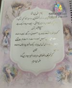 دفتر بله برون حلقه ای کد DBA-611-NANCI - Image 4