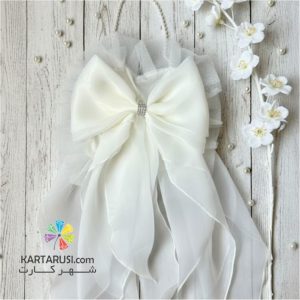 کیسه شاباش عروس طرح پاپیون